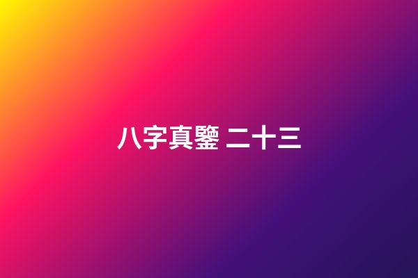 八字真鑒 二十三